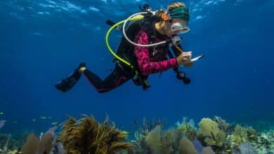 UN Discusses Actions to Enhance Ocean-Related Scientific Research