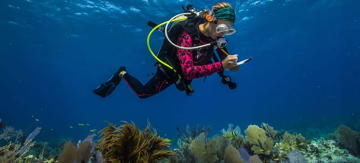 UN Discusses Actions to Enhance Ocean-Related Scientific Research