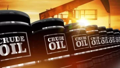 $220 Million in Deals Under Review: US Sanctions Six Indian Firms Amid 25% Tariffs on Oil Trade with Iran