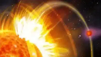 Radio Observations in Chamaeleon Cloud Uncover Five Young Stars