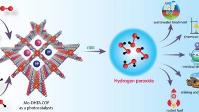 Advancements in Photocatalytic Technology for Hydrogen Peroxide Disinfectant Synthesis
