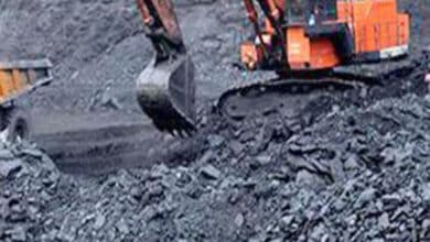 Strategies for Sustainability and Competitiveness in the Coal Sector