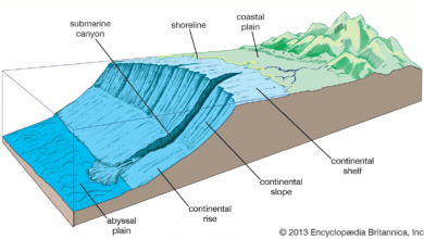 Commission on Limits of Continental Shelf to Convene