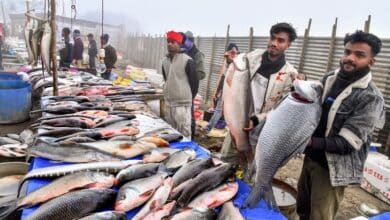 Curtain Raiser for National Fish Farmers Day 2025