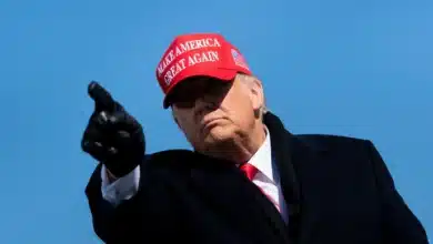 Trump Tariff: Limited Growth Impact and Potential Export Challenges