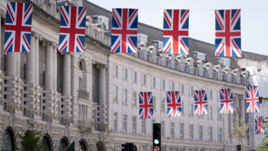 Expanded Options: An Increasing Number of British Brands Enter the Market