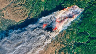 FireSat Prototype Satellite to Monitor Earth Every 20 Minutes