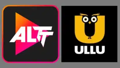 Government Cracks Down on ALTT, ULLU, and 22 More for Adult Content Violations Latest Reports in Bollywood News