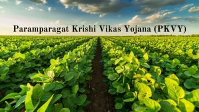 Government Initiatives to Promote Organic and Climate-Smart Farming