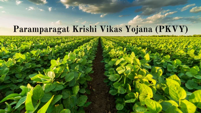 Government Initiatives to Promote Organic and Climate-Smart Farming
