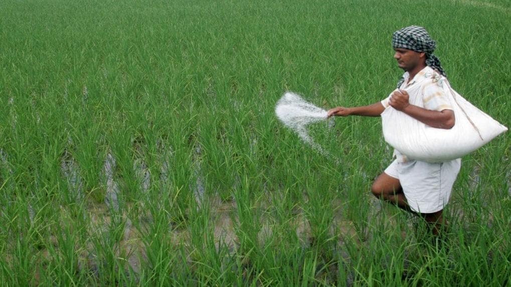 Government Introduces Mechanism to Ensure Fertiliser Quality