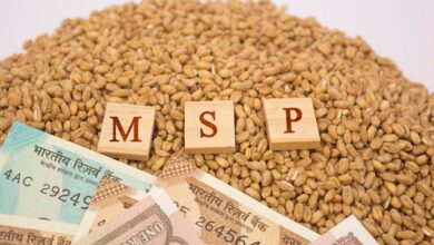 Increase in Minimum Support Price (MSP)