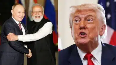 India-US Trade Experts Caution on Potential GDP Impact from Donald Trump Tariffs Affecting Pharma and Auto Sectors