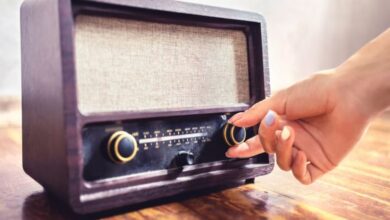 MIB Experiences Mixed Trends: DTH Sector Faces Challenges While FM Radio Sector Anticipates Growth in FY25