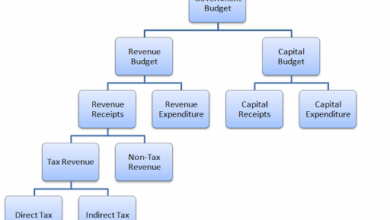 Mobilize Resources and Reform Global Debt System