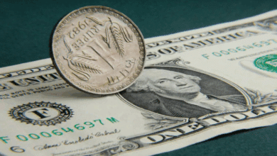Rupee Declines for Sixth Consecutive Day Against the Dollar Amid Forex Challenges