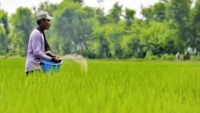 States Directed to Initiate Campaign for Fertilizer Quality Assurance