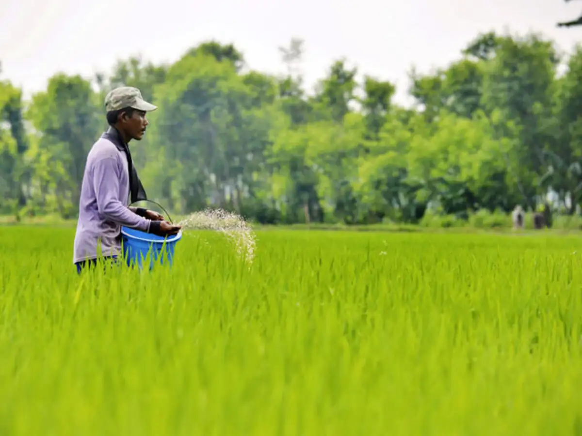 States Directed to Initiate Campaign for Fertilizer Quality Assurance
