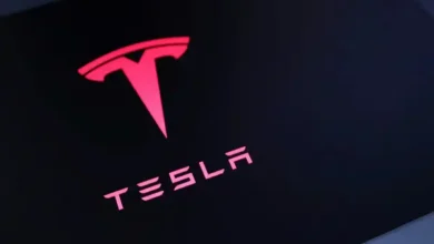 Tesla Reports Significant Earnings Decline as Elon Musk Cautions About Challenging Quarters Ahead
