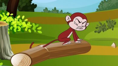 The Curious Monkey and the Wedge