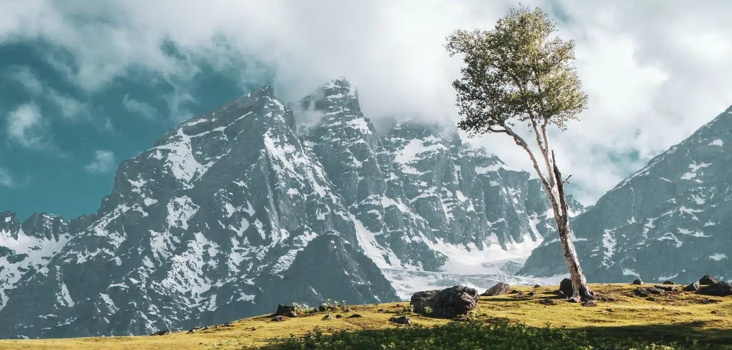 The Dual Nature of Existence in Kashmir: A Tale of Beauty and Brutality
