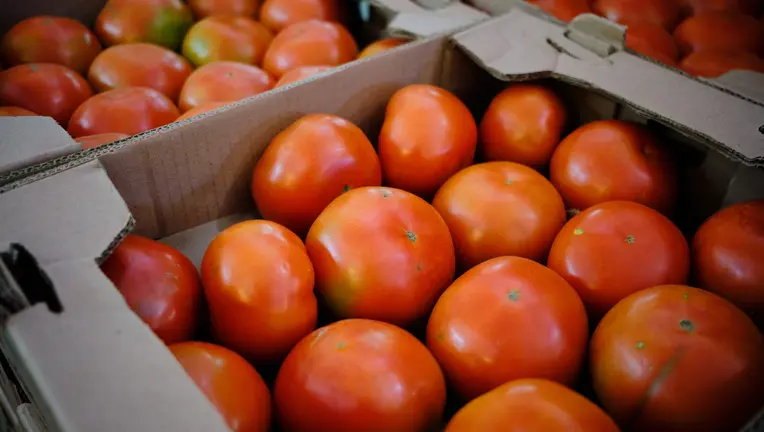 US Imposes 17% Tariff on Mexican Tomato Imports Amid Trump Tariff Policies