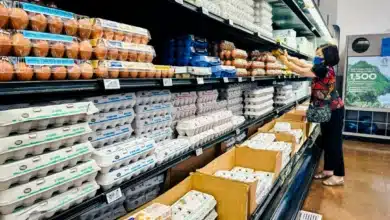 US Inflation Update: Producer Prices Hold Steady in June