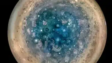 Unusual Plasma Waves Detected Above Jupiter’s North Pole May Have Explanations
