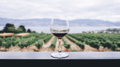 Wine Chiller
