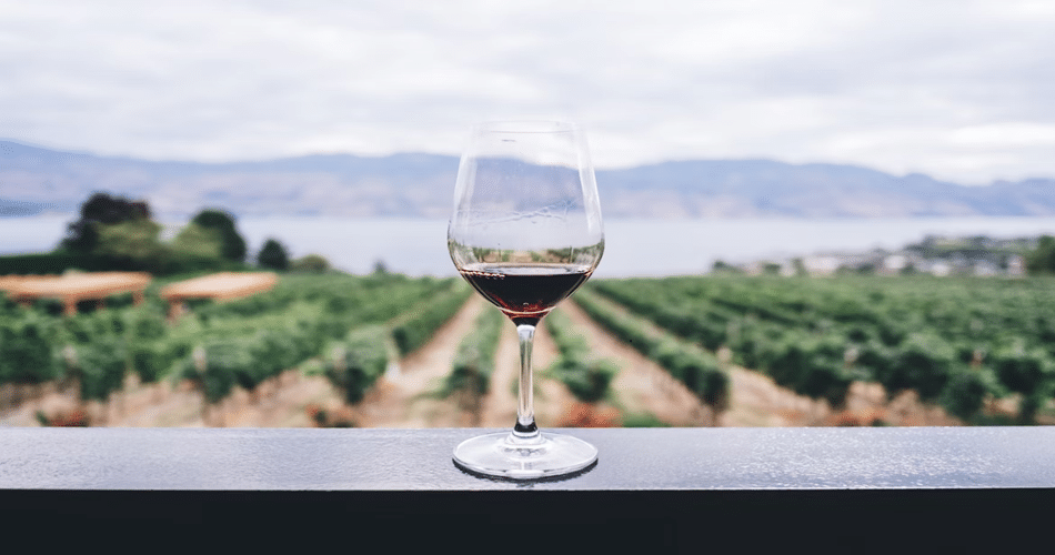 Wine Chiller