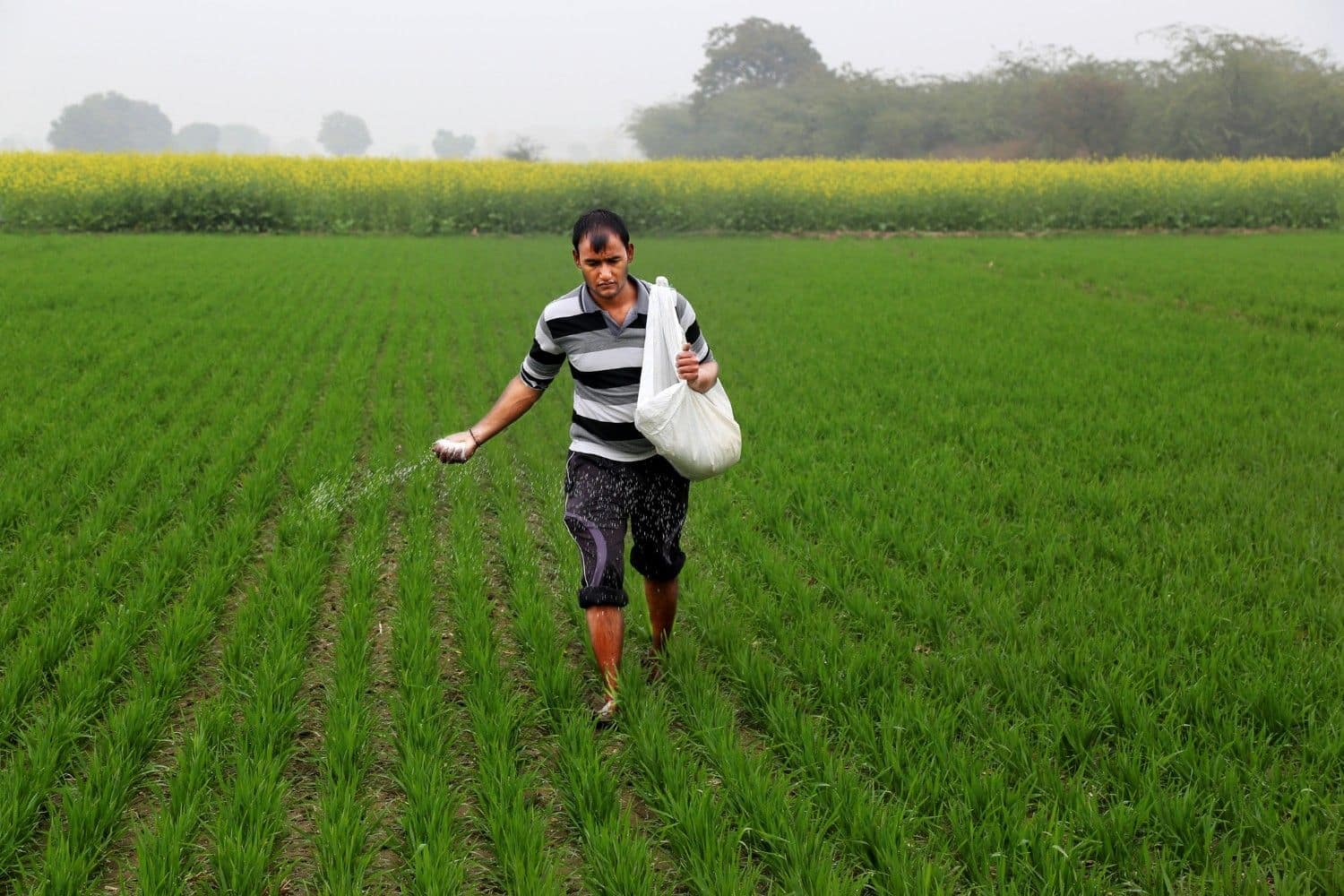 China's Reinstatement of Export Curbs Poses Risks for Specialty Fertiliser Sector; India Anticipates Price Increases
