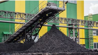 Diversifying Coal Usage and Reducing Import Dependence