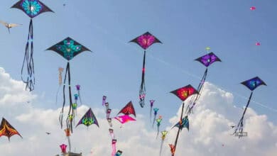 Kite-Flying Tradition Under Threat as Aircraft Safety Concerns Rise