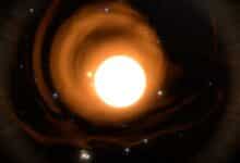 New Discoveries Unveiled from Supergiant Star Wd1-9