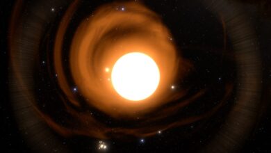 New Discoveries Unveiled from Supergiant Star Wd1-9