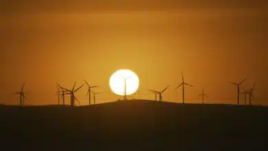 Australia Commits to Ambitious Emission Reduction Targets Ahead of 2035