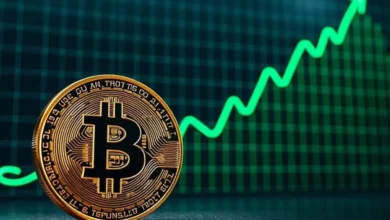 Bitcoin Hits Record Highs, Triggering Rise in Crypto Scams
