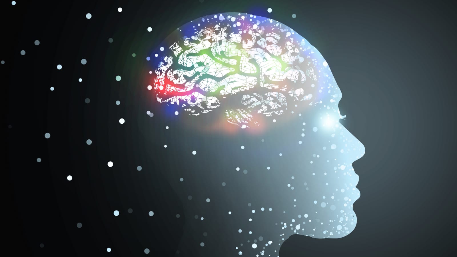 ChatGPT Responds to Key Inquiry on AI Consciousness