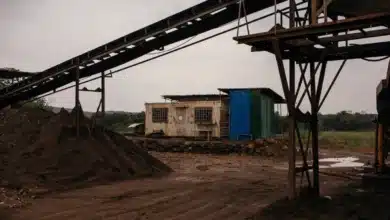 Farmers in Zambia's Copperbelt File Lawsuit Against Chinese-Linked Mining Companies Over Environmental Crisis