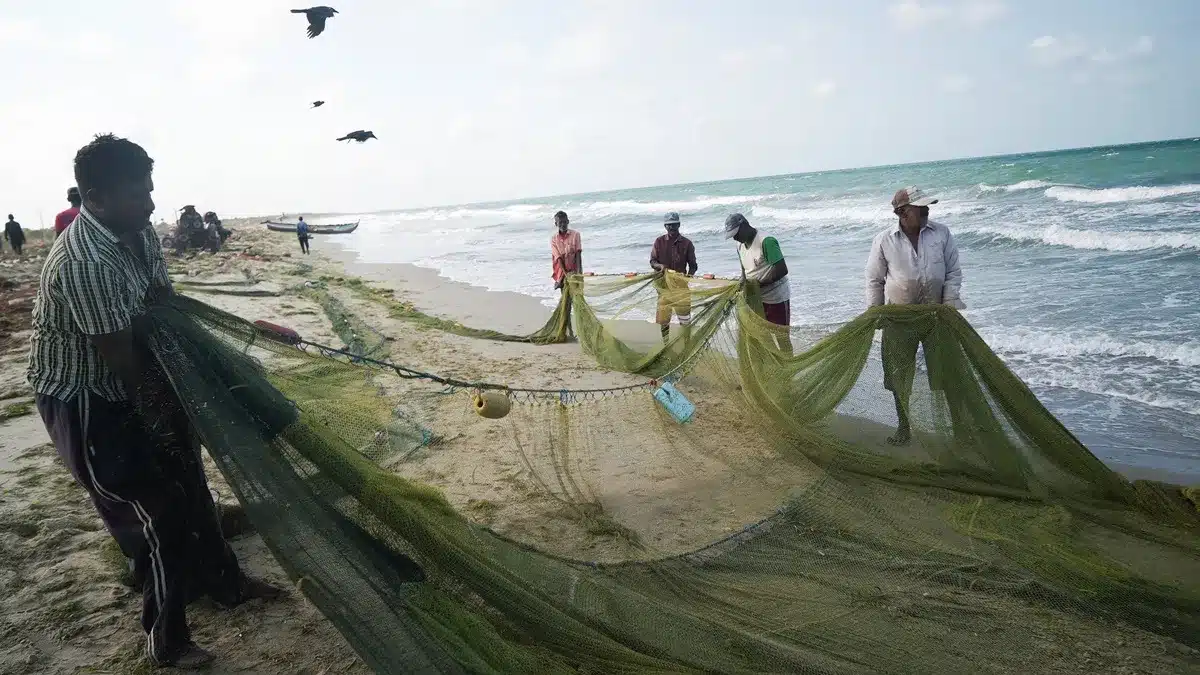 GST Set at 5% for Fishing Nets, Seafood Products, and Aquaculture Inputs