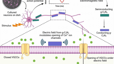 Indian Researchers Develop Nanomaterial to Stimulate Brain Cells Non-Surgically