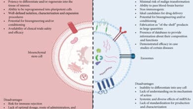 Research Highlights Potential Therapeutic Benefits of Cell Protection Mechanism Against Mechanical Stress