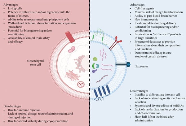 Research Highlights Potential Therapeutic Benefits of Cell Protection Mechanism Against Mechanical Stress