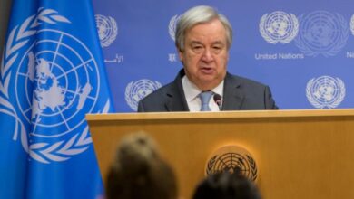 Secretary-General Appeals to Security Council for Peace in Ukraine Under UN Charter