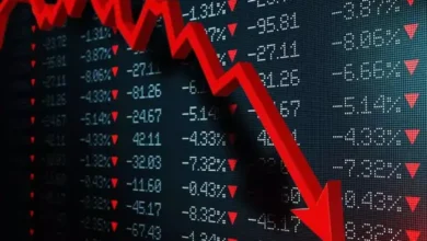 Stock Market Update: Nifty50 Declines at Opening, BSE Sensex Surpasses 81,300