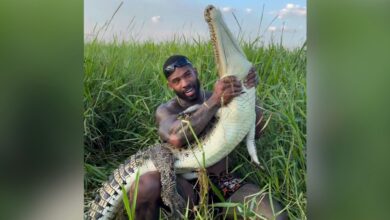 US Influencer Mike Holston Faces Investigation for Wrestling Wild Crocodiles