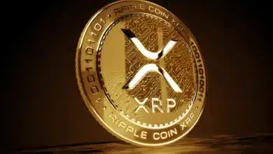 Coinbase Increases Stake in CoinDCX, Elevating Exchange Valuation to $2.45B