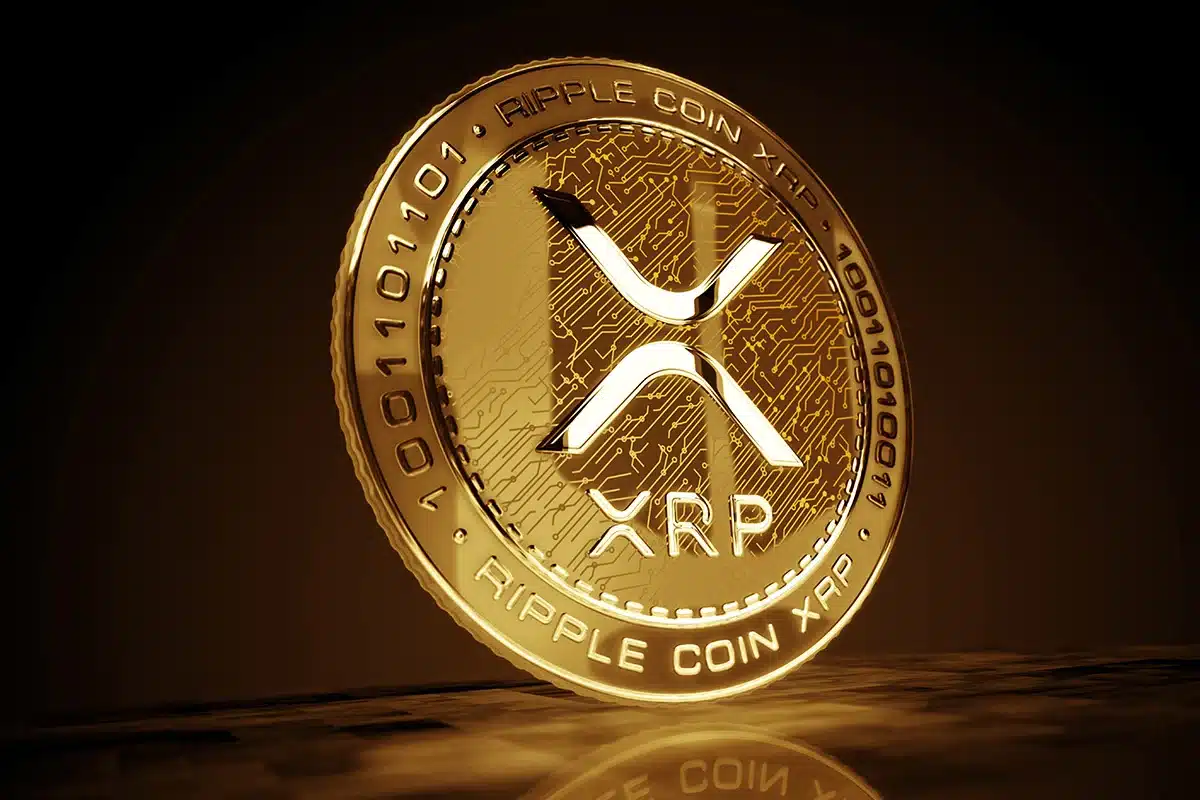 Coinbase Increases Stake in CoinDCX, Elevating Exchange Valuation to $2.45B