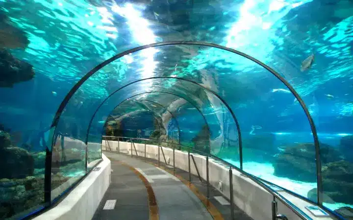 First-of-Its-Kind Underwater Road Tunnel Beneath Brahmaputra in Assam Poised for Cabinet Approval