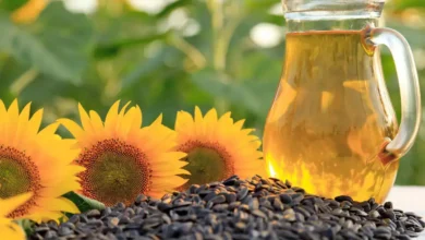 India's Edible Oil Sector Calls for Tariff Stability